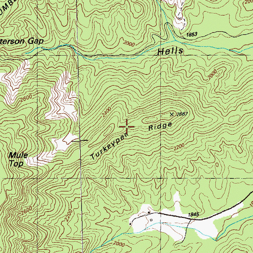 Topographic Map of Turkeypen Ridge, GA