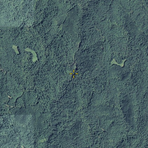 Aerial/Satellite Image of Turner Creek, GA