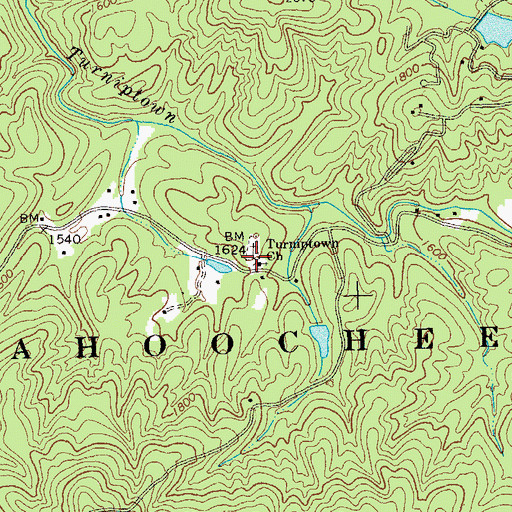 Topographic Map of Turniptown Church, GA