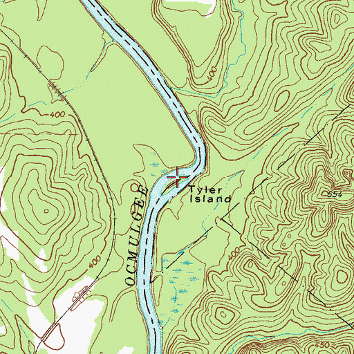 Topographic Map of Tyler Island, GA