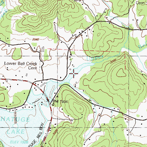 Topographic Map of Upper Bell Creek, GA