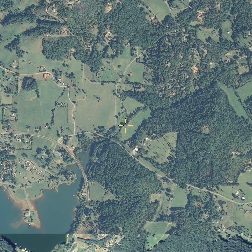 Aerial/Satellite Image of Upper Bell Creek, GA