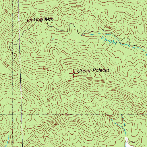 Topographic Map of Upper Polecat, GA