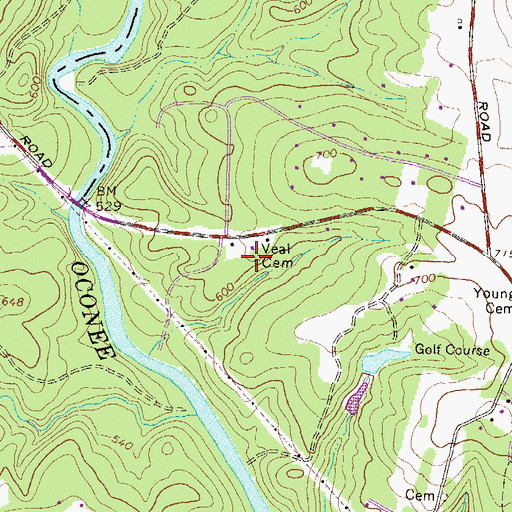 Topographic Map of Veal Cemetery, GA