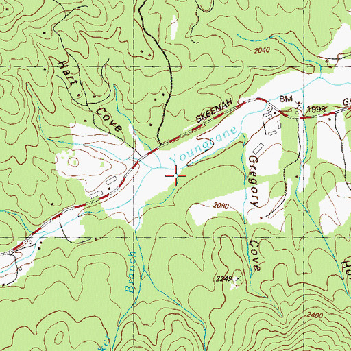 Topographic Map of Walker Branch, GA