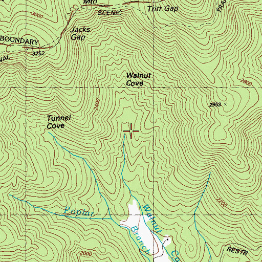 Topographic Map of Walnut Cove, GA