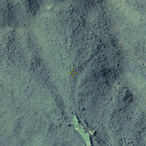 Aerial/Satellite Image of Walnut Cove, GA