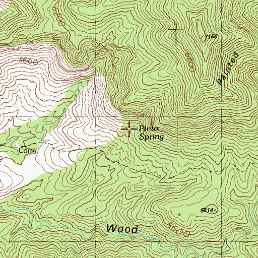 Topographic Map of Pinto Spring, AZ