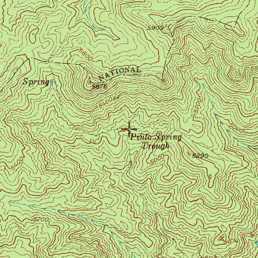 Topographic Map of Pinto Spring Trough, AZ