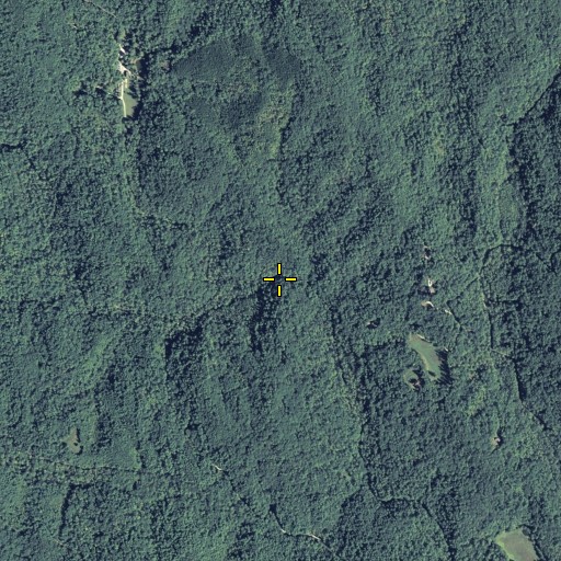 Aerial/Satellite Image of Ward Creek, GA