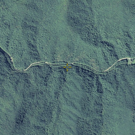 Aerial/Satellite Image of Watkins Branch, GA