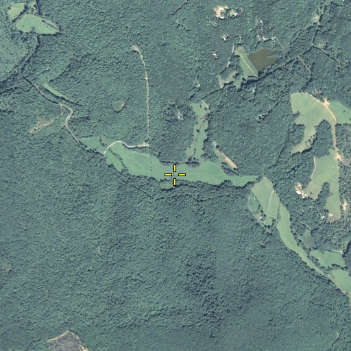 Aerial/Satellite Image of Weaver Creek, GA