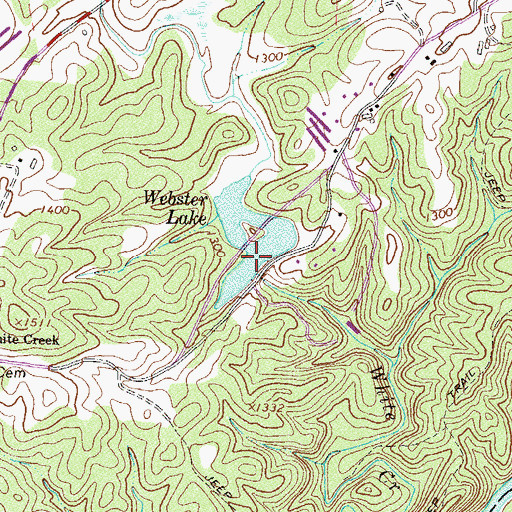 Topographic Map of Webster Lake, GA