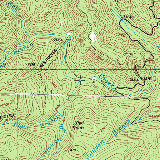 Topographic Map of West Place Branch, GA