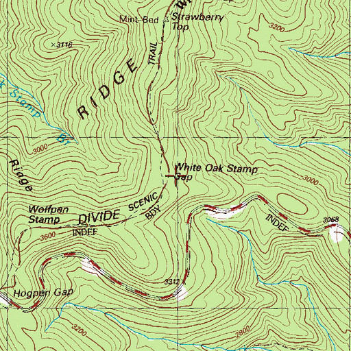 Topographic Map of White Oak Stamp Gap, GA