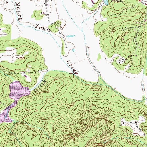 Topographic Map of Whitehouse Creek, GA