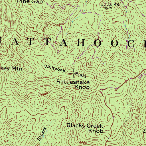 Topographic Map of Whiteoak Flats, GA