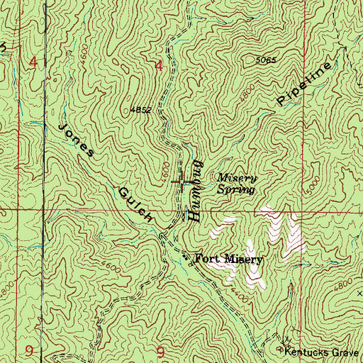 Topographic Map of Pipeline Canyon, AZ