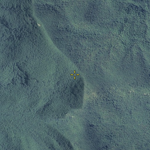 Aerial/Satellite Image of Whitly Gap, GA