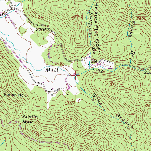 Topographic Map of Wike Branch, GA