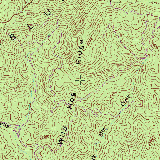 Topographic Map of Wild Hog Ridge, GA