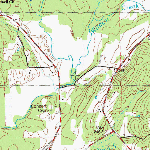 Topographic Map of Wildcat Creek, GA