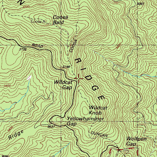 Topographic Map of Wildcat Gap, GA