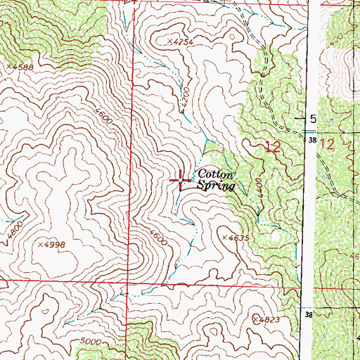 Topographic Map of Cotton Spring, AZ
