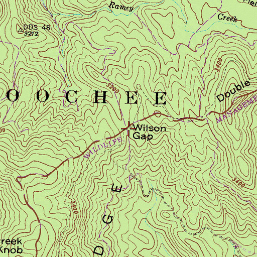 Topographic Map of Wilson Gap, GA
