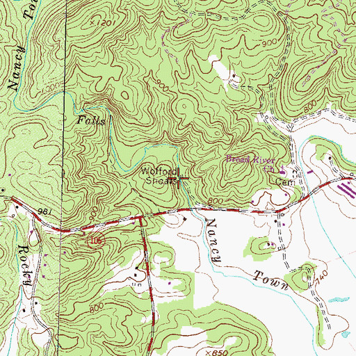 Topographic Map of Wofford Shoals, GA