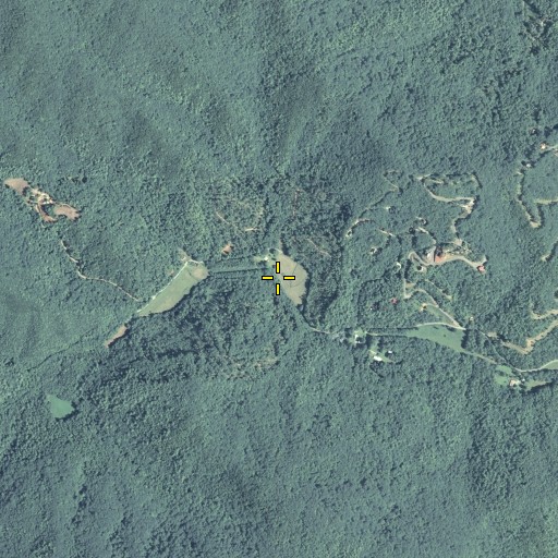 Aerial/Satellite Image of Wolf Branch, GA