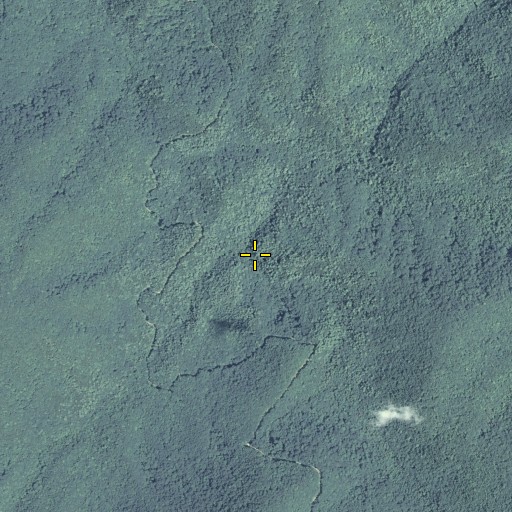 Aerial/Satellite Image of Wolf Creek, GA