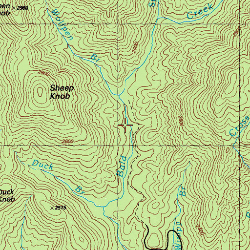 Topographic Map of Wolfpen Branch, GA