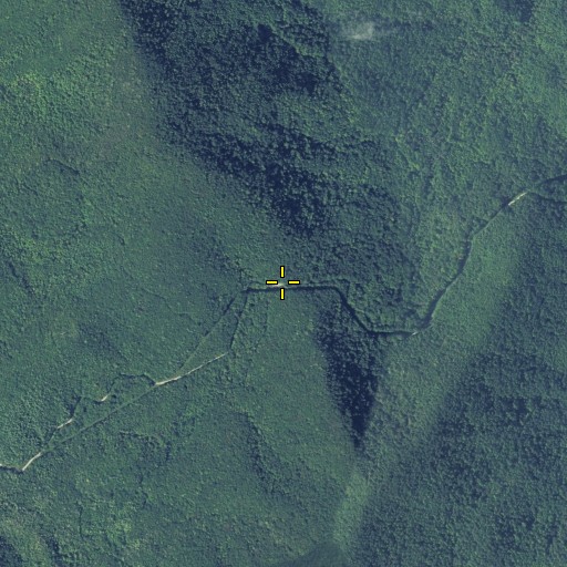 Aerial/Satellite Image of Wolfpen Gap, GA