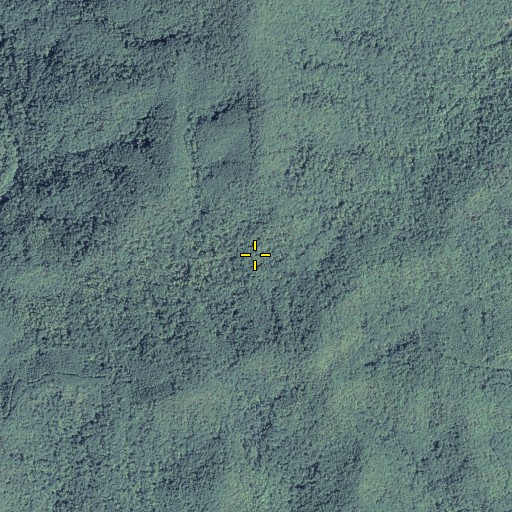 Aerial/Satellite Image of Wolfpen Gap, GA