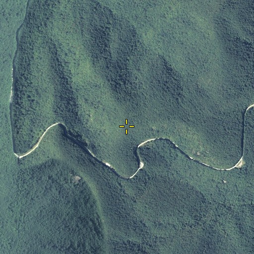 Aerial/Satellite Image of Wolfpen Stamp, GA