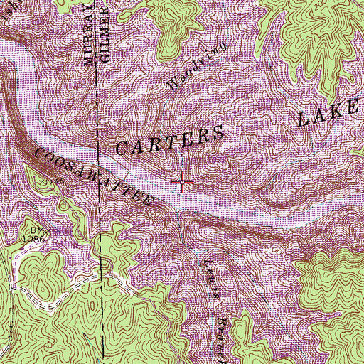 Topographic Map of Woodring Branch, GA