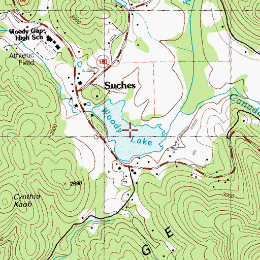 Topographic Map of Woody Lake, GA