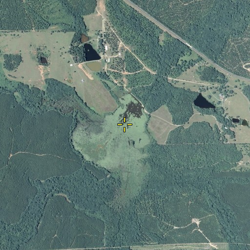 Aerial/Satellite Image of Wright Branch, GA