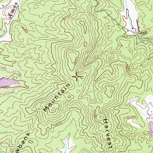 Topographic Map of Yellowbank Mountain, GA
