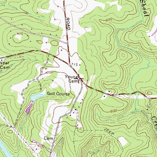 Topographic Map of Young Cemetery, GA