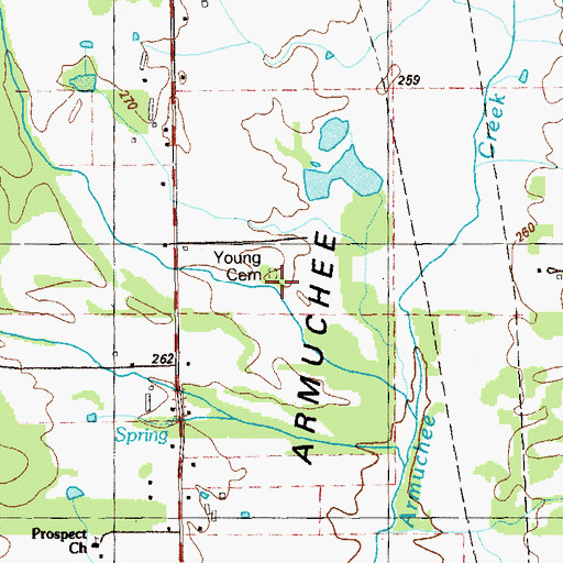 Topographic Map of Young Cemetery, GA