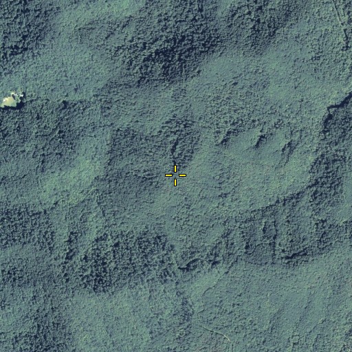 Aerial/Satellite Image of Davis Gap, GA