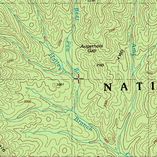 Topographic Map of Bear Paw Branch, GA