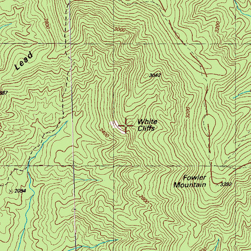 Topographic Map of White Cliffs, GA