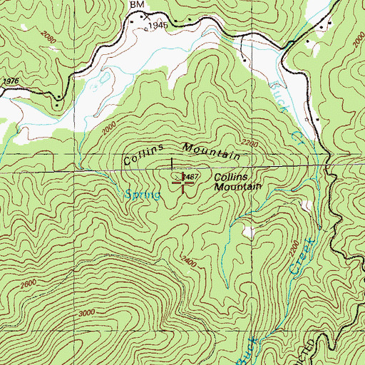 Topographic Map of Collins Mountain, GA