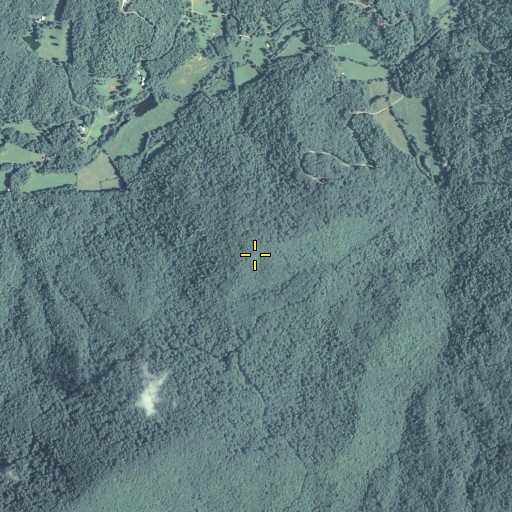 Aerial/Satellite Image of Collins Mountain, GA