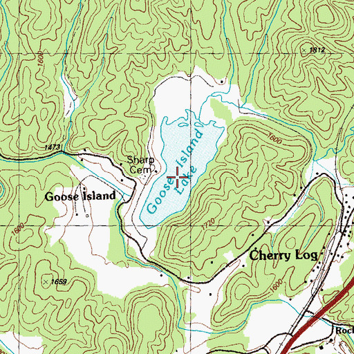Topographic Map of Goose Island Lake, GA