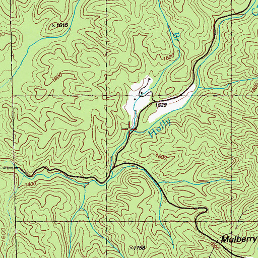 Topographic Map of Boatwright Branch, GA