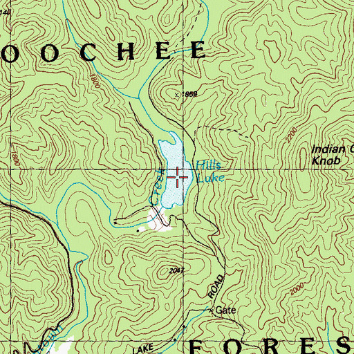Topographic Map of Hills Lake, GA